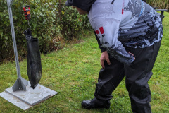 PXL_20230917_194821968